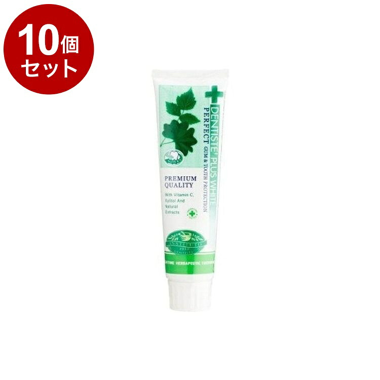 【単品10セット】 デンティス エチケット ペースト ハミガキ粉 100g ミント DENTISTE【送料無料】