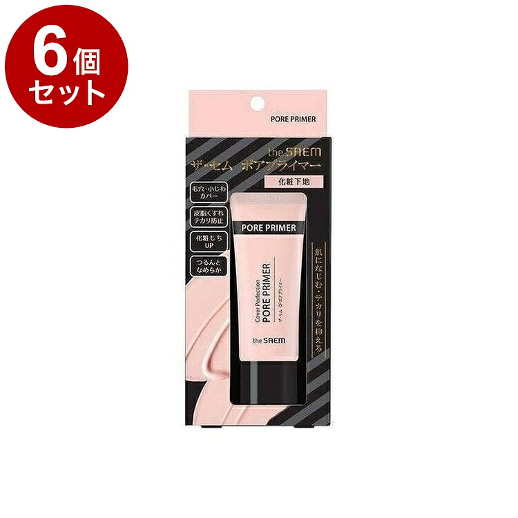 【単品6個セット】 theSAEM ザ・セム ポアプライマー 20G 韓国 韓国コスメ コスメ【送料無料】