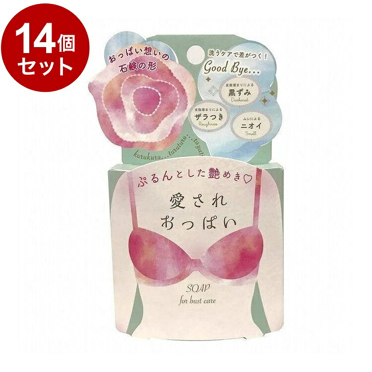 【単品14個セット】 愛されおっぱい 70g ボディケア スキンケア 角質ケア【送料無料】 7,346円