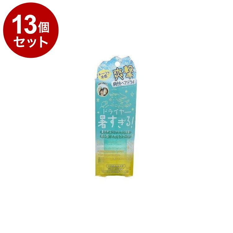 【単品13セット】 Coolist クーリスト スカルプクーラー シトラスミントの香り お風呂上り ドライヤー【送料無料】