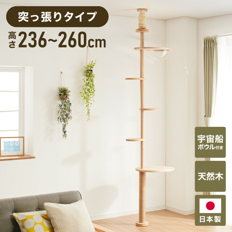 日本製 キャットタワー 突っ張り型 木製 高さ240~250糎 恒星船付 上滑り打ち切り 省空白文字 か細い 分かりやすい 高耐久性 高甚だしい 爪とぎ 爪砥ぎ 肌理 白木 キャットツリー 猫円柱 猫用 猫 ねこ 国産【貨物輸送無料】