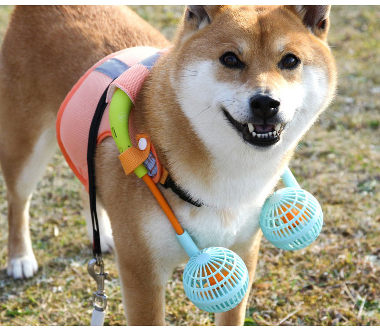 21新春福袋 Mサイズ ドッグウエア ドッグウェア扇風機セット スパイス ミニファン オレンジ