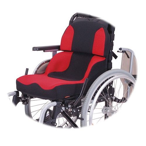 タカノ 座位守りつづける座蒲団 LAPS+LAPBacks書き割り 赤いこと - TC-LS11(代引不可)【貨物輸送無料】