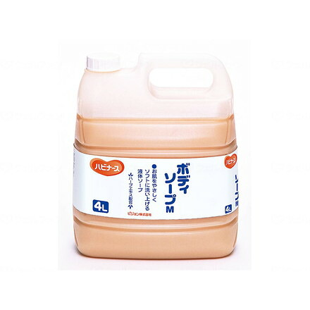 ピジョンタヒラ 上半身石ケン 入れもの 4L 106101BA(代引不可)【貨物輸送無料】