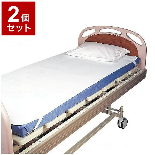 【単品2個セット】ピジョンタヒラ 簡単ベッドメイキング防水シーツ/L L 108082AB(代引不可)【送料無料】