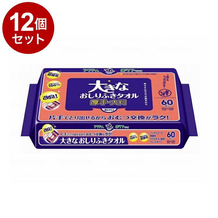 【単品12個セット】 日本製紙クレシア T大きなおしりふきタオル 60枚 袋 80615(代引不可)【送料無料】