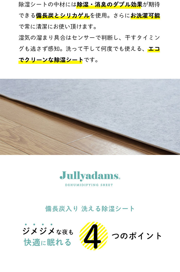在庫限りッ アウトレット 洗える炭入り除湿シート ワイドキング 約2 180cm 3畳用 除湿シート 洗濯可 Jullyadams 備長炭 カビ対策 防臭 防ダニ 湿気とり 送料無 21年春夏再販 Teammedellin Co