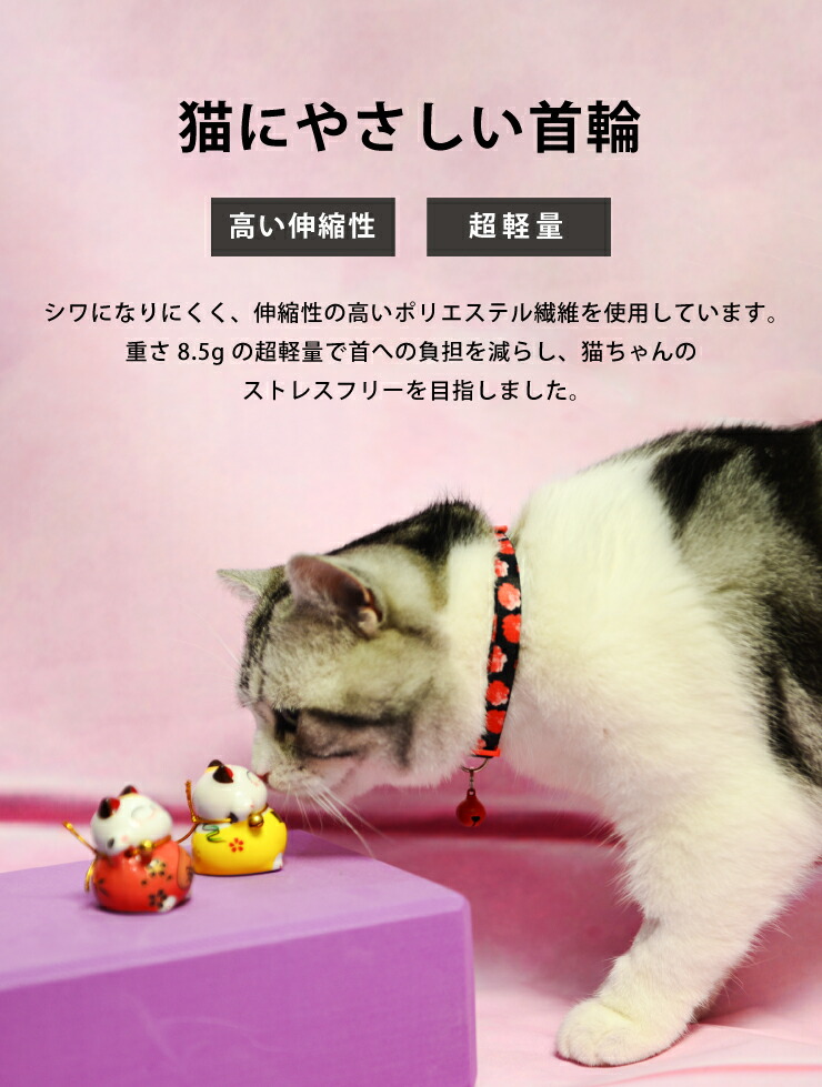 楽天市場 猫 首輪 2本セット ねこ ネコ 安全首輪 セーフティ首輪 かわいい カワイイ 可愛い キャットカラー Xi Uf C005 代引不可 送料無料 リコメン堂ホームライフ館