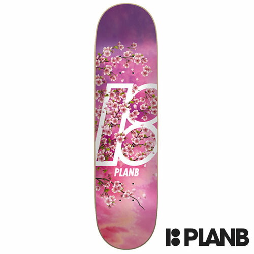 Plan B Pat Duffy スケートボード デッキ 昔の 90s スケボー デッキ PLAN B プランビー IDOL DUFFY 8.0inch - メルカリ