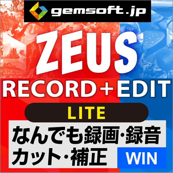 ー品販売 ZEUS RECORD LITE