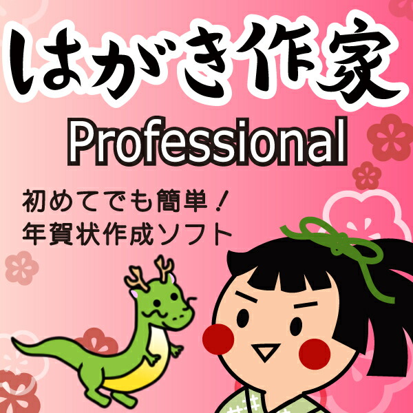 Ϥ 17 Professional (2024 äǯƥץ졼ȥեդ)