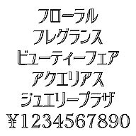 ���ʥե��������ե�����롡Windows��TrueType�ե����