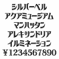���ʥե�����������С��٥롡MAC��TrueType�ե����