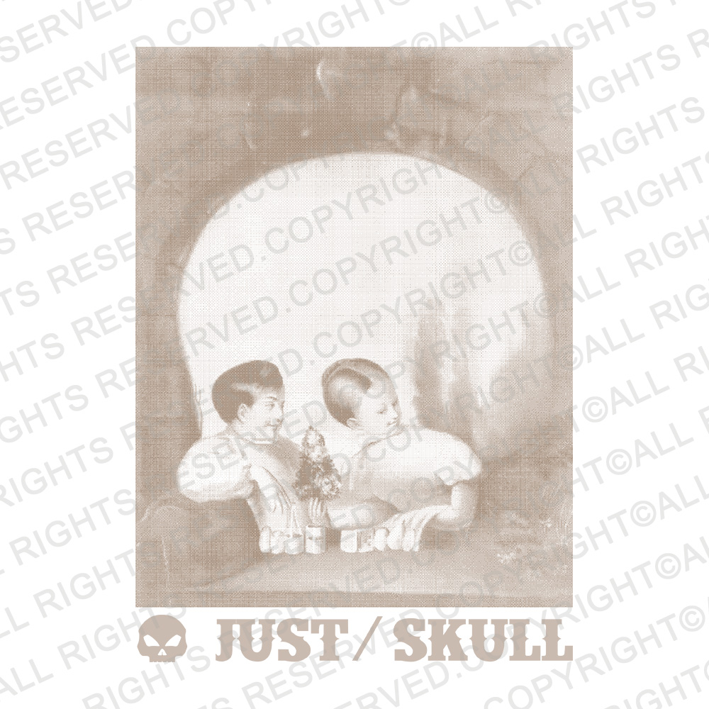 楽天市場 隠し絵 Tシャツ ジャスト Double Image Skull 半袖tシャツ メンズ レディース 大きいサイズ おしゃれ ティーシャツ スカル ドクロ ガイコツ ダブルイメージ さがし絵 トリックアート 芸術 プリントtシャツ ホワイト レイダース