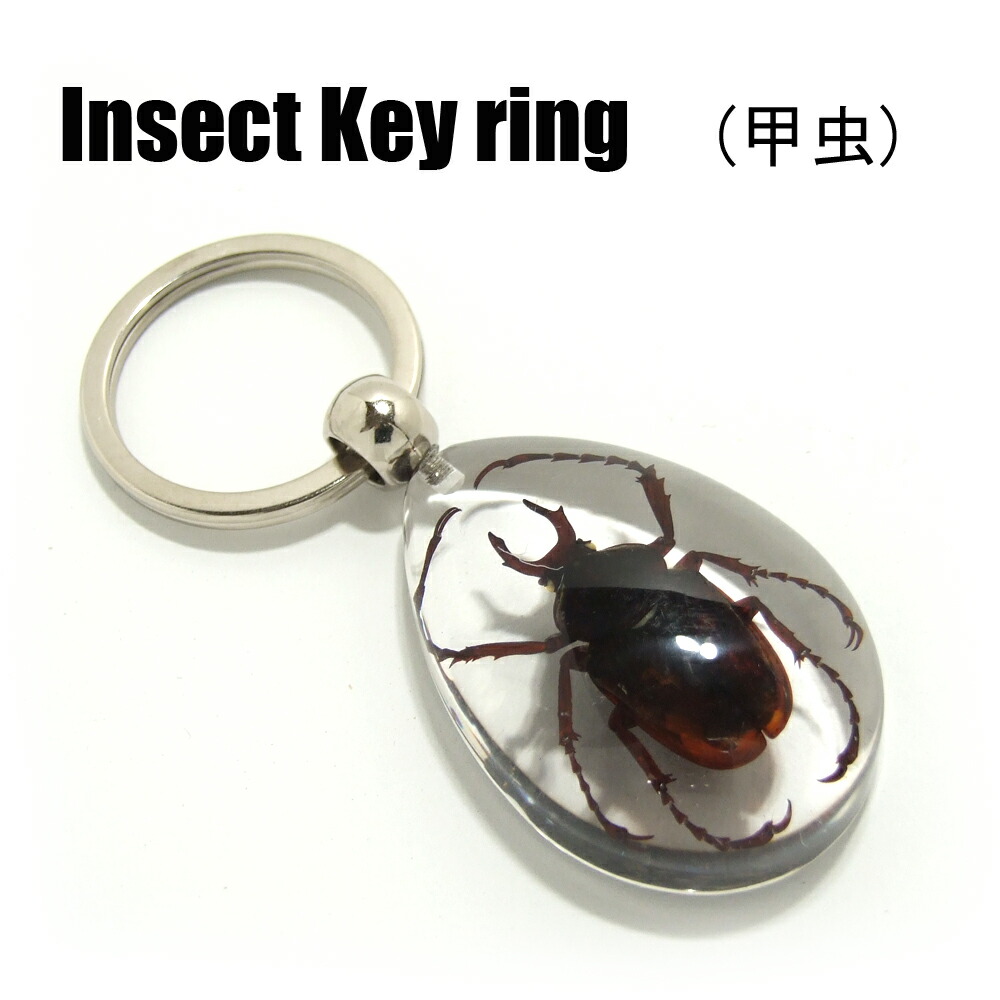 イモムシガチャ　昆虫アクリルキーホルダー イモムシガチャ 昆虫アクリルキーホルダー