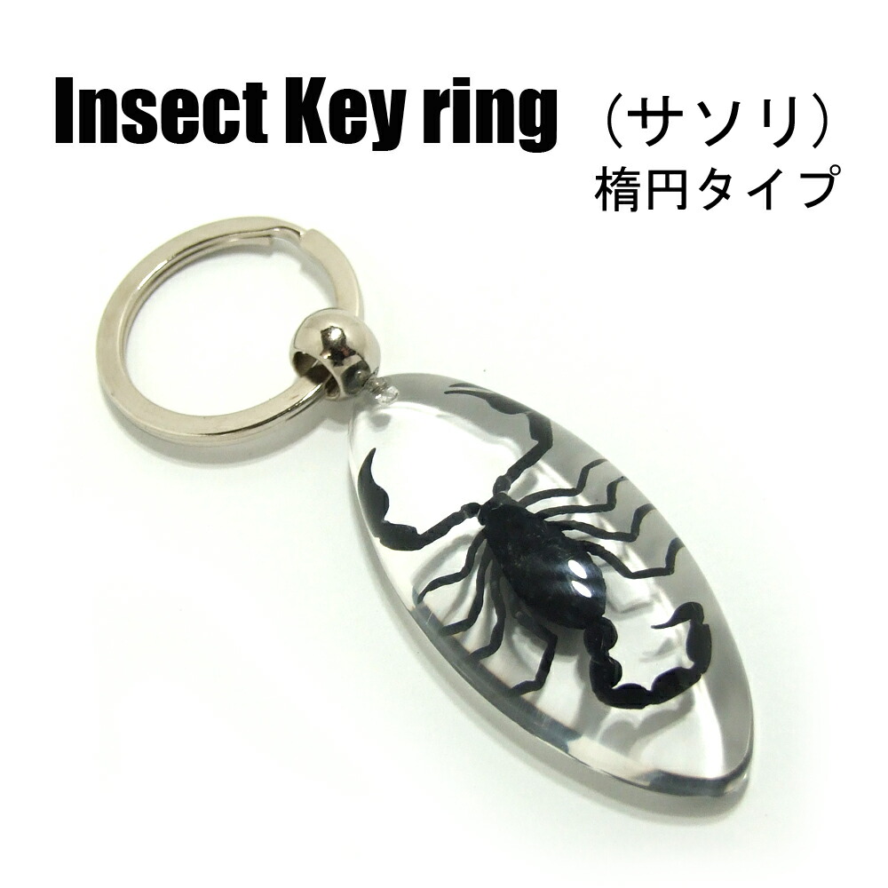 imgrc0069667214.jpg