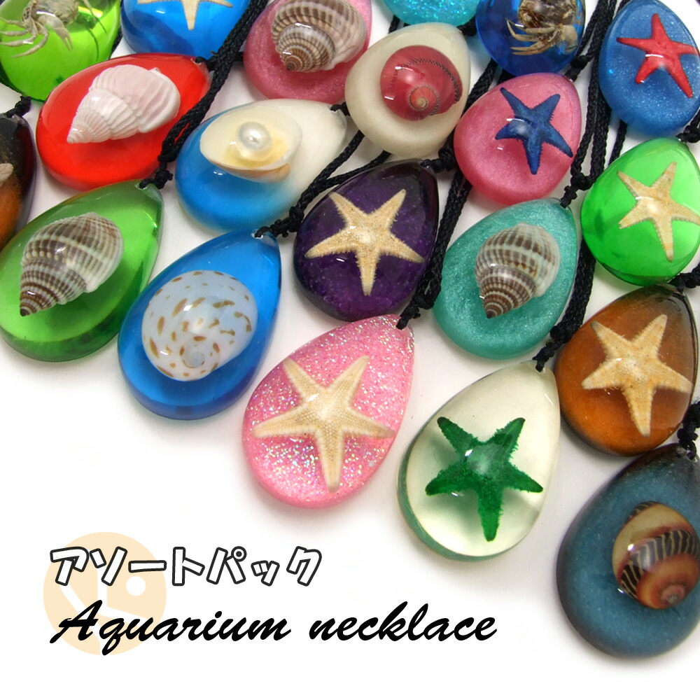 楽天市場】【※メール便不可※】限定入荷 昆虫樹脂標本(12種