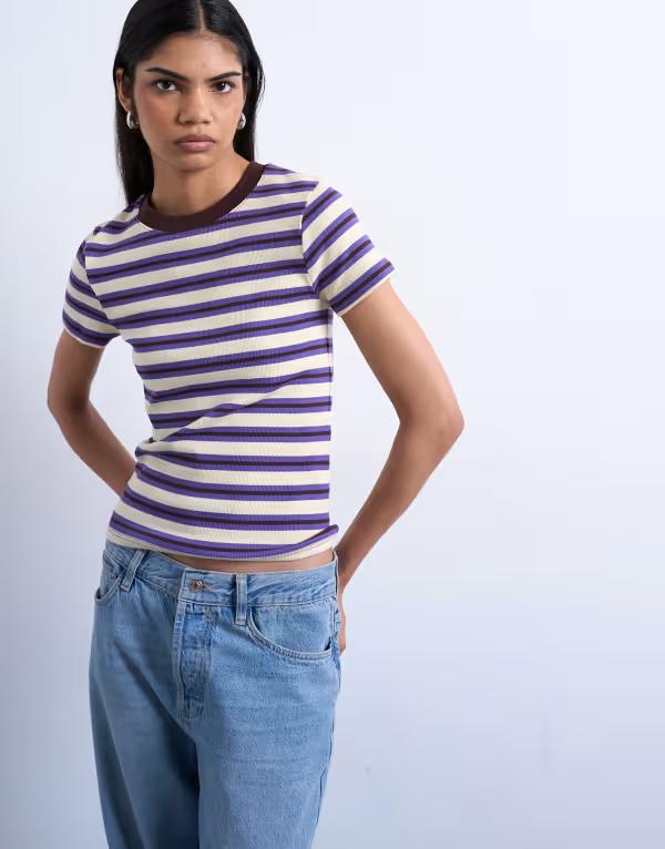トップショップ レディース トップス Tシャツ Topshop stripe rib short sleeve tee PURPLE パープル｜ReVida 店