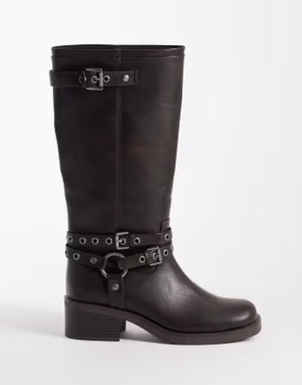 エイソス レディース シューズ ブーツ・レインブーツ ASOS DESIGN Curve Cassandra grommet biker boots インチ burnished BROWN BURNISH 赤銅色