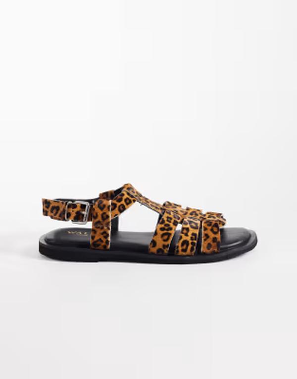 ウォーク英国の首都 レディース シューズ サンダル 刷り上げる Walk London Sophia Gladiator sandals インチ leopard print Leopard Print 毛の荒物
