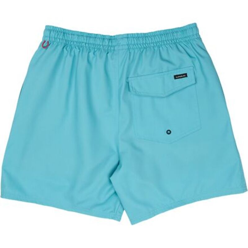 クイックシルバー メンズ 水着 ハーフパンツ・ショーツ Quiksilver Everyday Solid Volley 17 Short - Men's Aqua アクア｜ReVida 店