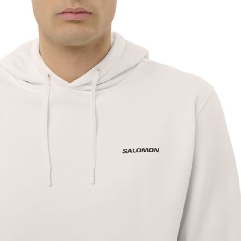 サロモン メンズ アウター パーカー・スウェット ロゴタイプ Salomon Chest Logo Hoodie Whisper White 白いこと