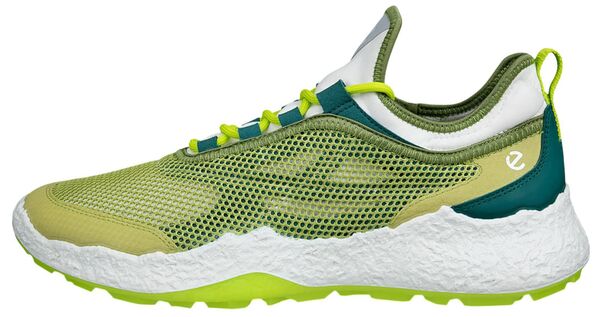残響音 メンズ アンダー御召しもの ソックス ECCO Men\u0027s Golf Biom H5 Textile Golf Shoesweet Pea/Lime Punch/Baygreen 菩提樹