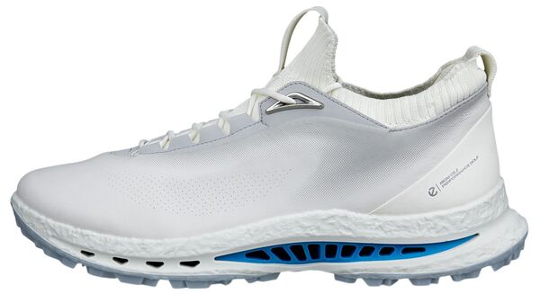 山びこ メンズ アンダー御召しもの ソックス ECCO Men\u0027s Golf Biom C5 Golf Shoes White/Concrete 白いこと
