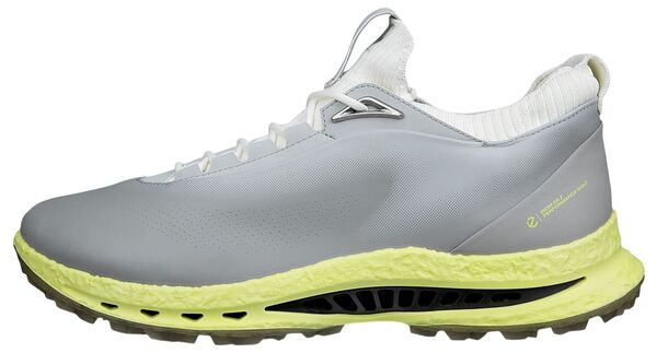 山びこ メンズ アンダー御召しもの ソックス ECCO Men\u0027s Golf Biom C5 Golf Shoes Wildove/Wildove