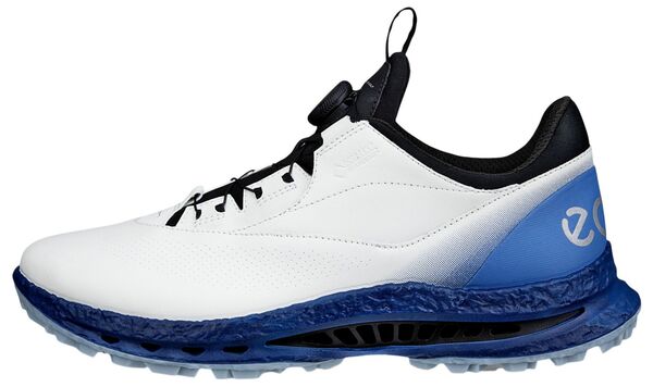 山びこ メンズ アンダー御召しもの ソックス ECCO Men\u0027s M Golf Biom C5 BOA Golf Shoes White/Federal Blue 白いこと