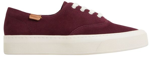 スペリー レディース シューズ スニーカー Sperry Women's Candy CVO Shoe Prune