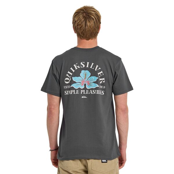 クイックシルバー メンズ トップス Tシャツ Quiksilver Men's Pleasures T-Shirt Iron Gate|ReVida 店