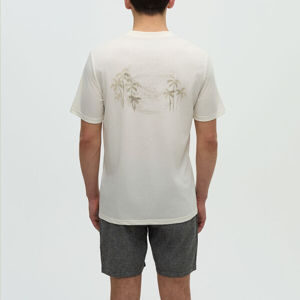 テンツリー メンズ トップス Tシャツ オーバーレイ tentree Men's Haiti Palm Overlay Short Sleeve T-Shirt Undyed/Sand Stone サンド｜ReVida 店