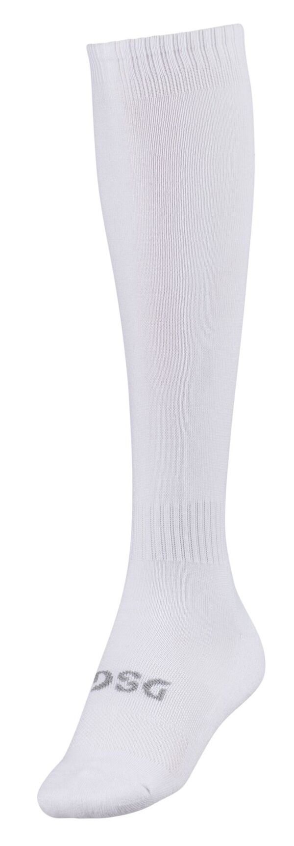 DSG レディース アンダーウェア 靴下 DSG Premium All Sport Socks Pure White ホワイト
