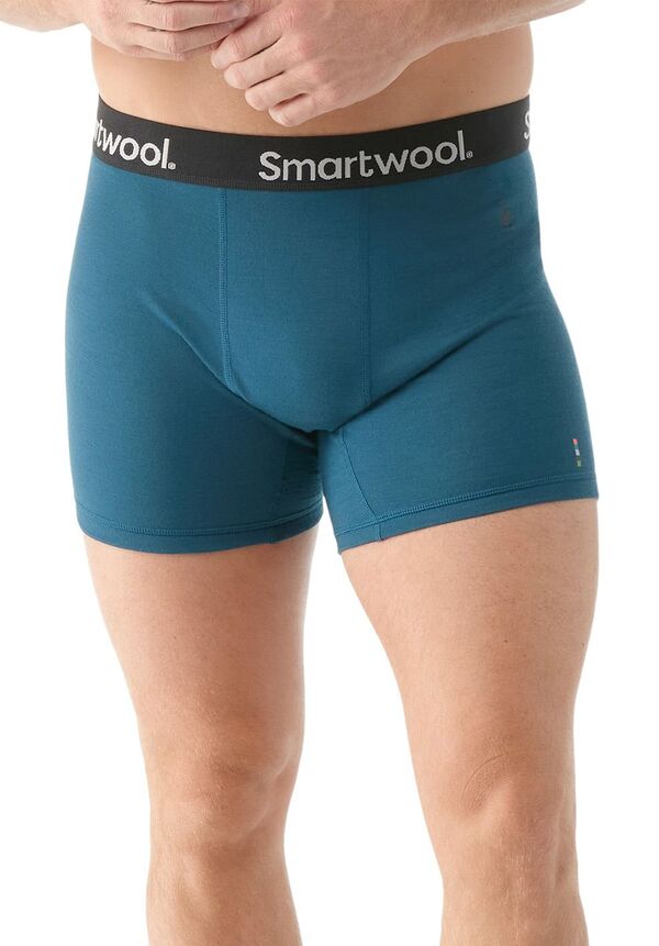 スマートウール メンズ トップス シャツ Smartwool Men's Boxed Boxer Brief Twilight Blue ブルー|ReVida 店