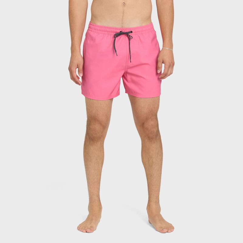 クイックしろがね色 メンズ ボトムス 二分の一ズボン下・さる股引き 遊撃手ズボン下 Quiksilver Men\u0027s Everyday Solid Volley 15\