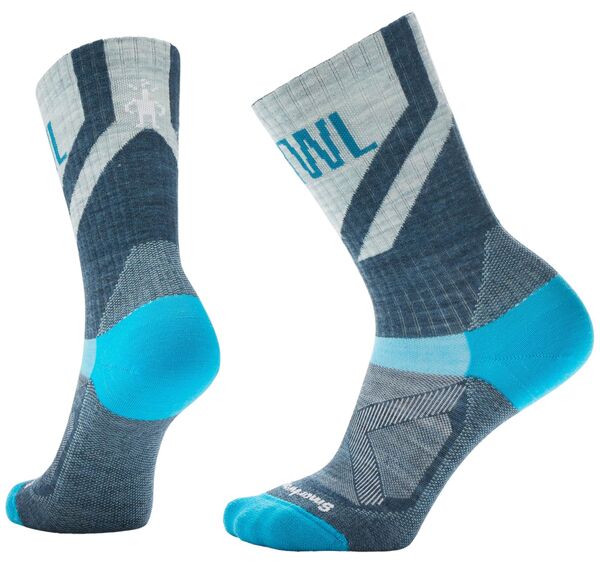 かっこ良い羊毛 レディース アンダーお召しもの ソックス 肋材 SmartWool Bike Zero Cushion Ribbed Crew Socks Frosty Green 緑であること