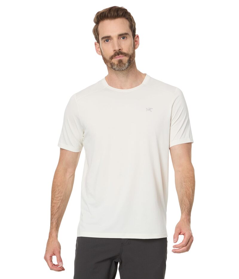 楽天市場】ARCTERYX アークテリクス 半袖 シャツ SKYLINE SS