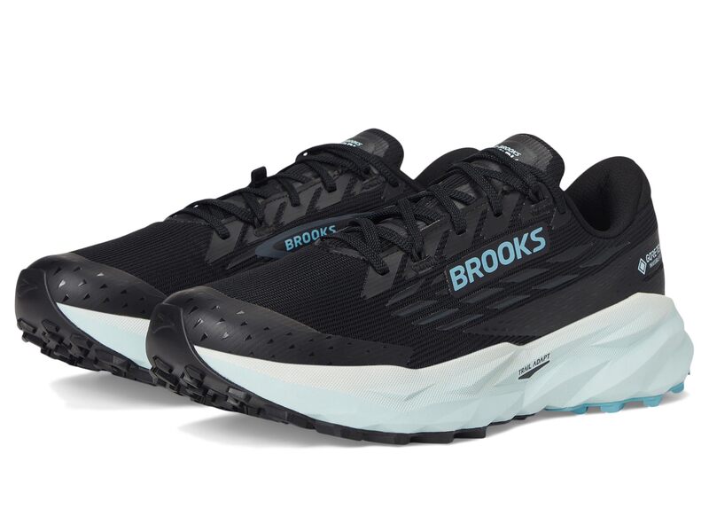 ブルックス レディース シューズ スニーカー Brooks Cascadia 19 GTXR Black/Ebony/Blu ブラック
