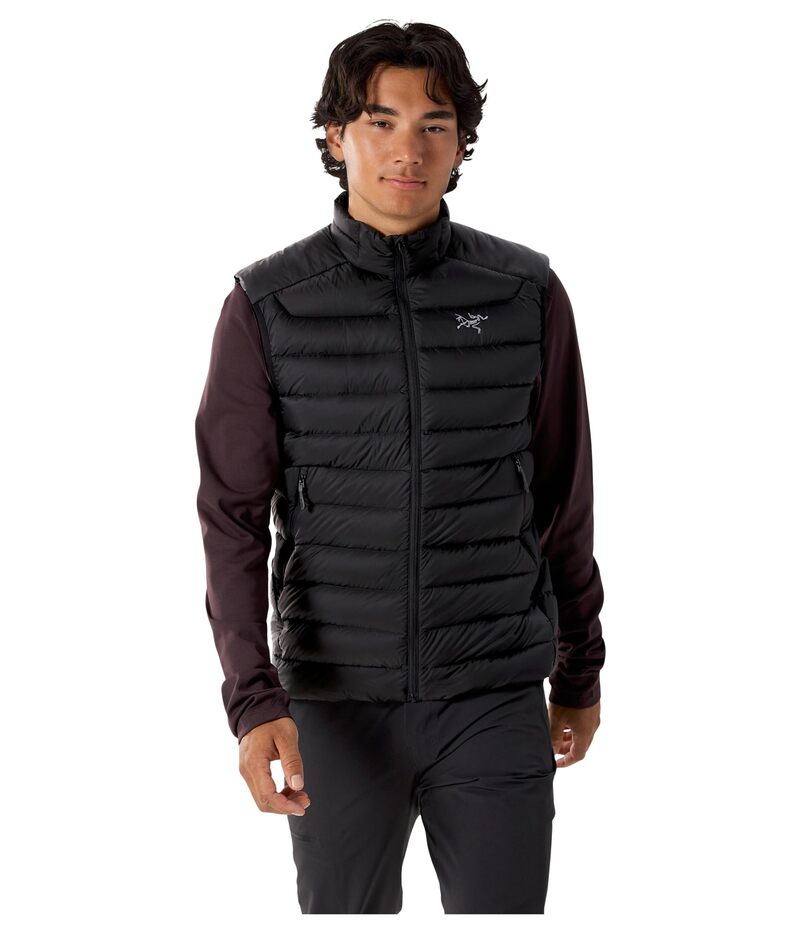楽天市場】ARC'TERYX(アークテリクス) GAMMA AR VEST BLACK Mサイズ