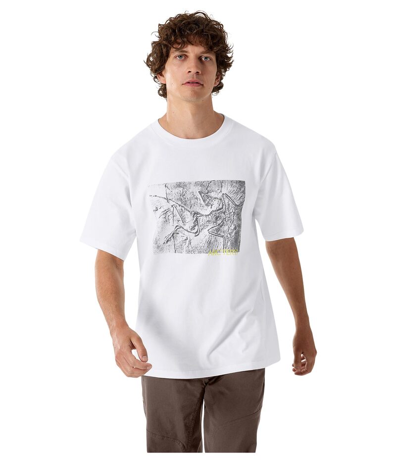 楽天市場】ARCTERYX アークテリクス 長袖 シャツ Skyline LS Shirt