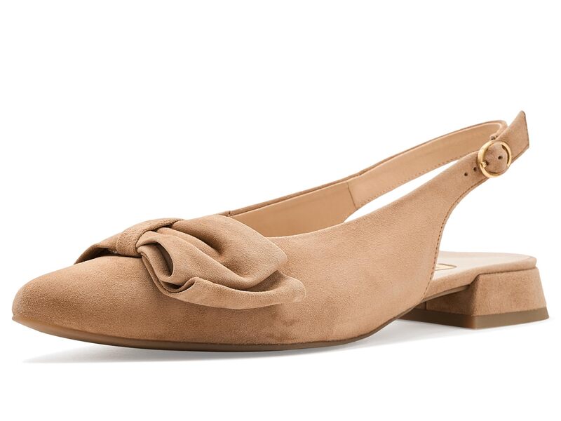 極点・緑であること レディース シューズ 踵 サンダル Paul Green Daniela Sandals Darkar Suede
