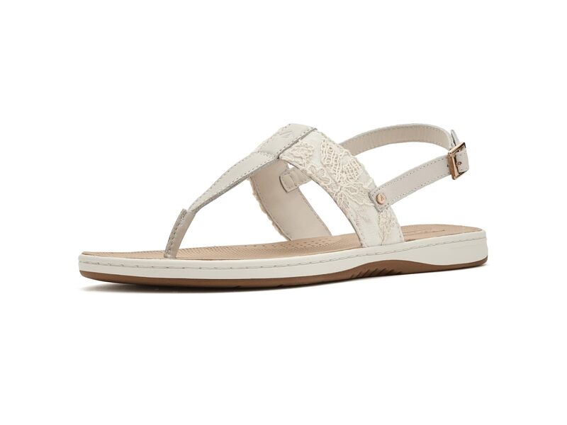 スペリー レディース 佩び物 かぶり笠 Sperry Sun Fish Cream 皮膚軟化剤