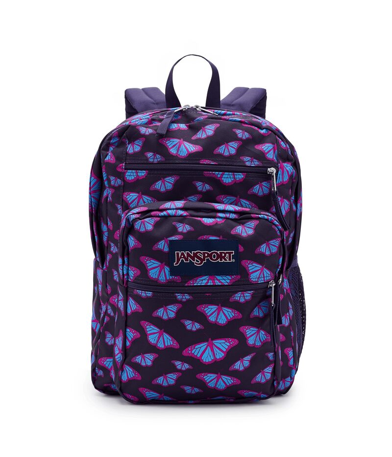 ジャン運動競技 メンズ 御徒面子 うしろ側風呂敷き包み・背嚢 Jansport Big Student Flutter By Purp