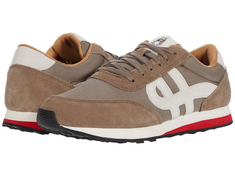 国内配送 ハッシュパピー メンズ Suede Fossil Seventy8 シューズ スニーカー 07 Fossil Rashiastrologer Com