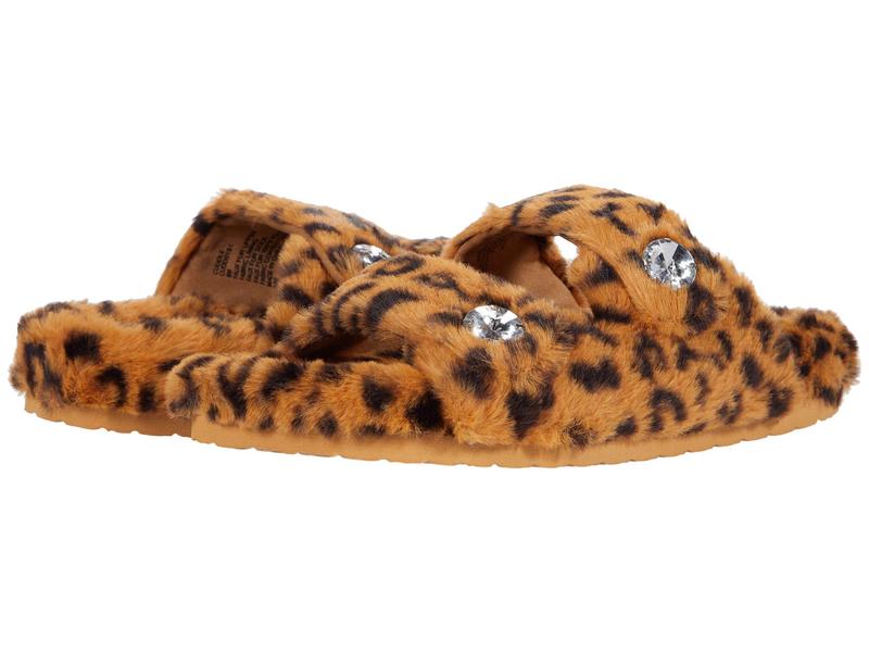 Seal限定商品 楽天市場 スティーブ マデン レディース サンダル シューズ Cuddle Slipper Leopard Revida 楽天市場店 上質で快適 Bralirwa Co Rw