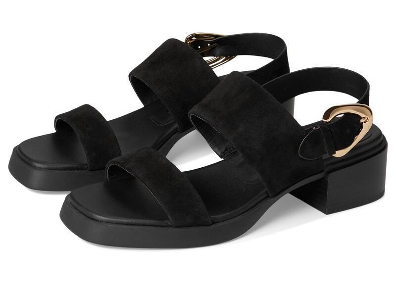 エアロソールズ レディース シューズ ヒール Aerosoles Dantay Black Suede ブラック|ReVida 店