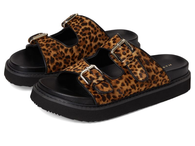 マーク・フィッシャー レディース シューズ サンダル Marc Fisher LTD Agustaly Leopard/Black ブラック