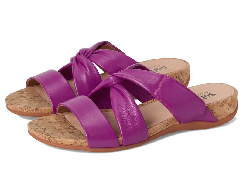 ソフトウォーク レディース シューズ ヒール トール SoftWalk Tallulah Magenta マゼンタ