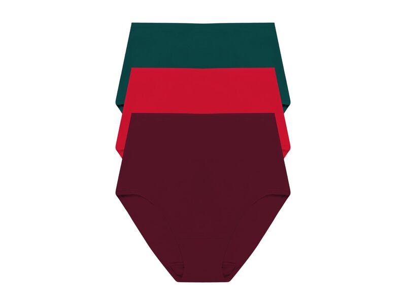 ナトリ レディース アンダー御召しもの ズボン下 ご機嫌酉の方角 綿織物 Natori Bliss Bare Cotton High Waist Brief 3-Pack Royal Fig/Bonfire/Elm